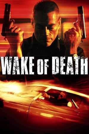 Wake of Death 2004 Hindi Dual Audio 300MB Movie Poster
