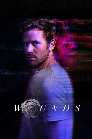 Wounds (2019) Hindi Dual Audio [930MB] Movie Poster
