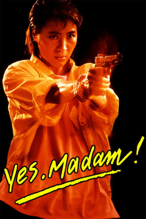 Yes Madam 1985 Hindi Dubbed [900MB] Download Movie Poster