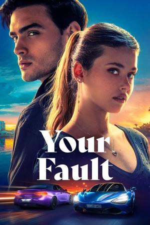 Your Fault 2024 Hindi Dual Audio – 720p – 480p